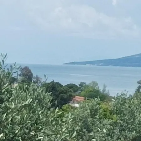 Olive Horizon
