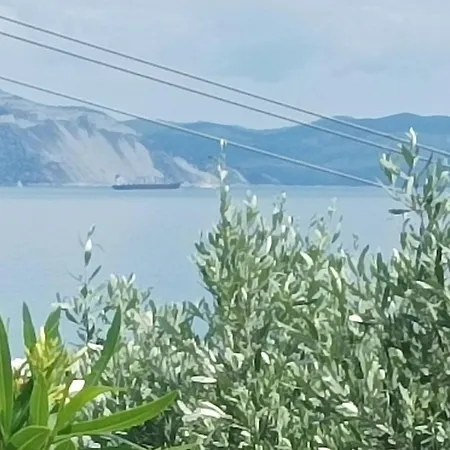Olive Horizon * Asmínion