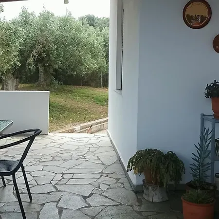 Olive Horizon *