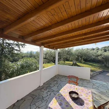 Olive Horizon Asmínion